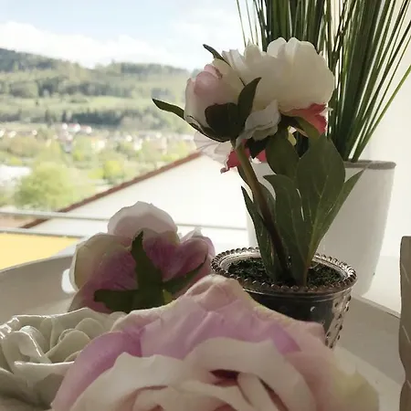 Zollernalb-apartment *